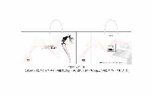  Ƿ ̿ |  ̼ι_з 2 410x150x330mm