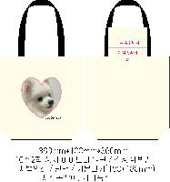 ÀÎ¼â ½Ã¾È À̹ÌÁö 29033