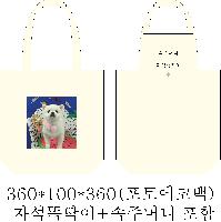 ÀÎ¼â ½Ã¾È À̹ÌÁö 31841