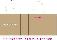  Ƿ ̿ | ֹM  ڹ 430x140x400mm