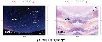 Ϸ PPǰ | [ֹ]LȦȭ _÷μ 220*310mm