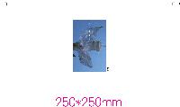 ÀÎ¼â ½Ã¾È À̹ÌÁö 47983