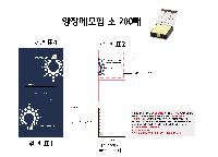 ÀÎ¼â ½Ã¾È À̹ÌÁö 59741