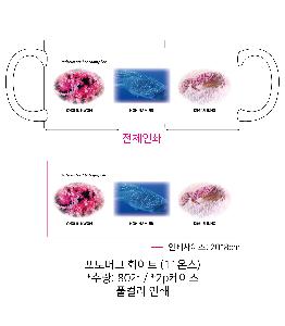 ÀÎ¼â ½Ã¾È À̹ÌÁö 66451