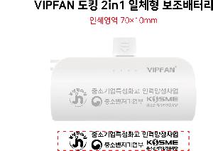 USB   | VIPFAN ŷ 2in1 ü ͸ 5000mAh