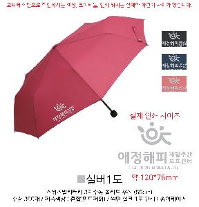 ÀÎ¼â ½Ã¾È À̹ÌÁö 84927