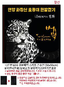 ÀÎ¼â ½Ã¾È À̹ÌÁö 91376