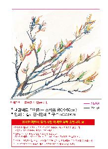 ÀÎ¼â ½Ã¾È À̹ÌÁö 98513