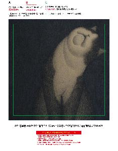 μ þ ̹ 105996