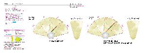 μ þ ̹ 106844