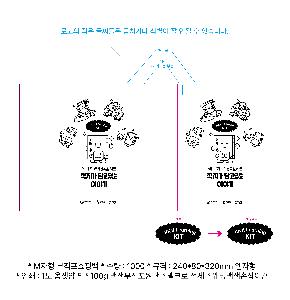 ÀÎ¼â ½Ã¾È À̹ÌÁö 107547