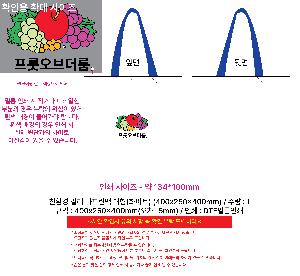 ÀÎ¼â ½Ã¾È À̹ÌÁö 115068