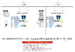  μ Ʈ | ̼ι_޷ 220x70x220mm
