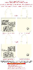 �μ� �þ� �̹��� 119750