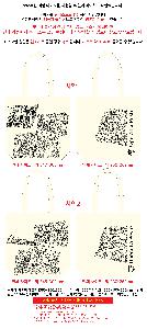 �μ� �þ� �̹��� 119750