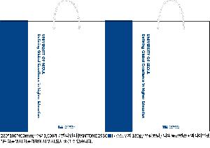 ���� �μ� ������Ʈ | ���̼��ι�_���￩�ڴ��б� 270x100x380mm