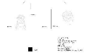 �μ� �þ� �̹��� 121339