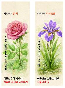 �μ� �þ� �̹��� 121461