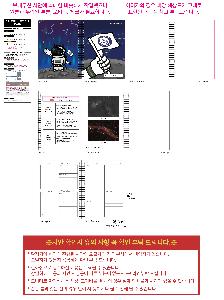 �μ� �þ� �̹��� 123205